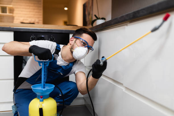 Best Mosquito Control Services  in Castle Shannon, PA