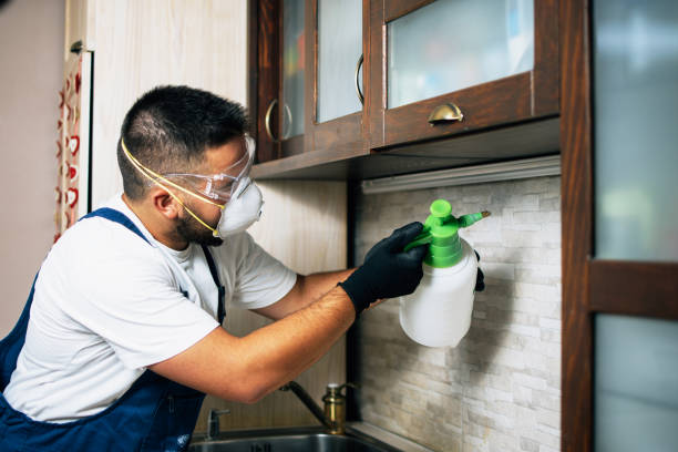 Best Flea Control Services  in Castle Shannon, PA