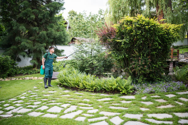 Best Best Pest Control Companies  in Castle Shannon, PA