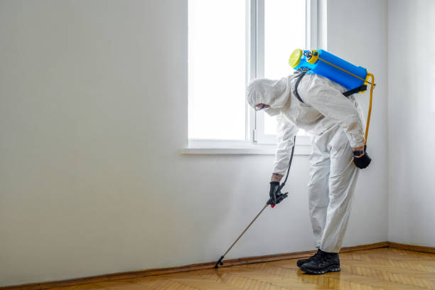 Best Commercial Pest Control Services  in Castle Shannon, PA