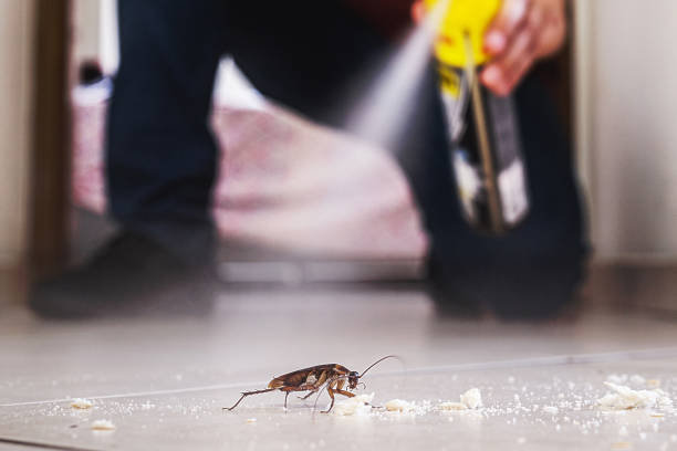 Best Residential Pest Control  in Castle Shannon, PA
